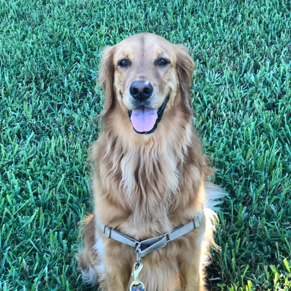 Meet your Posher, Barbara